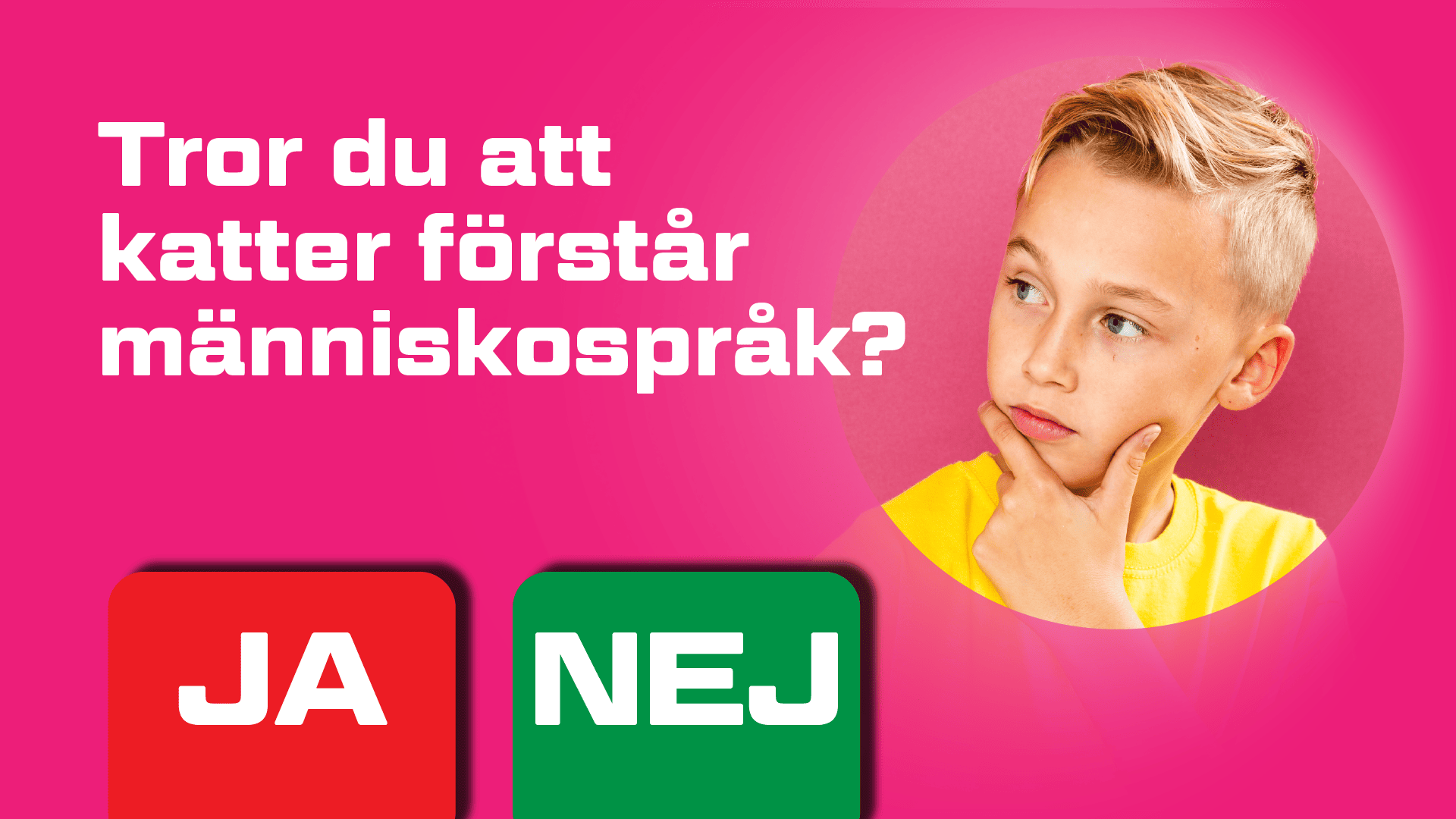 MITT VAL HUMOR